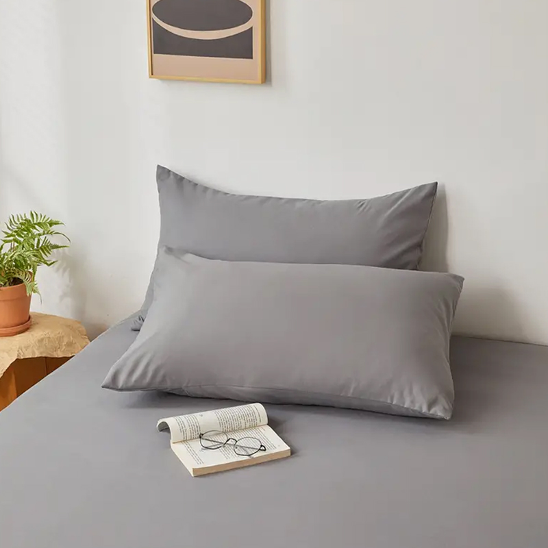 2pcs Brushed Pillowcase, Soft  - Pillow Cover 20X20 review and price